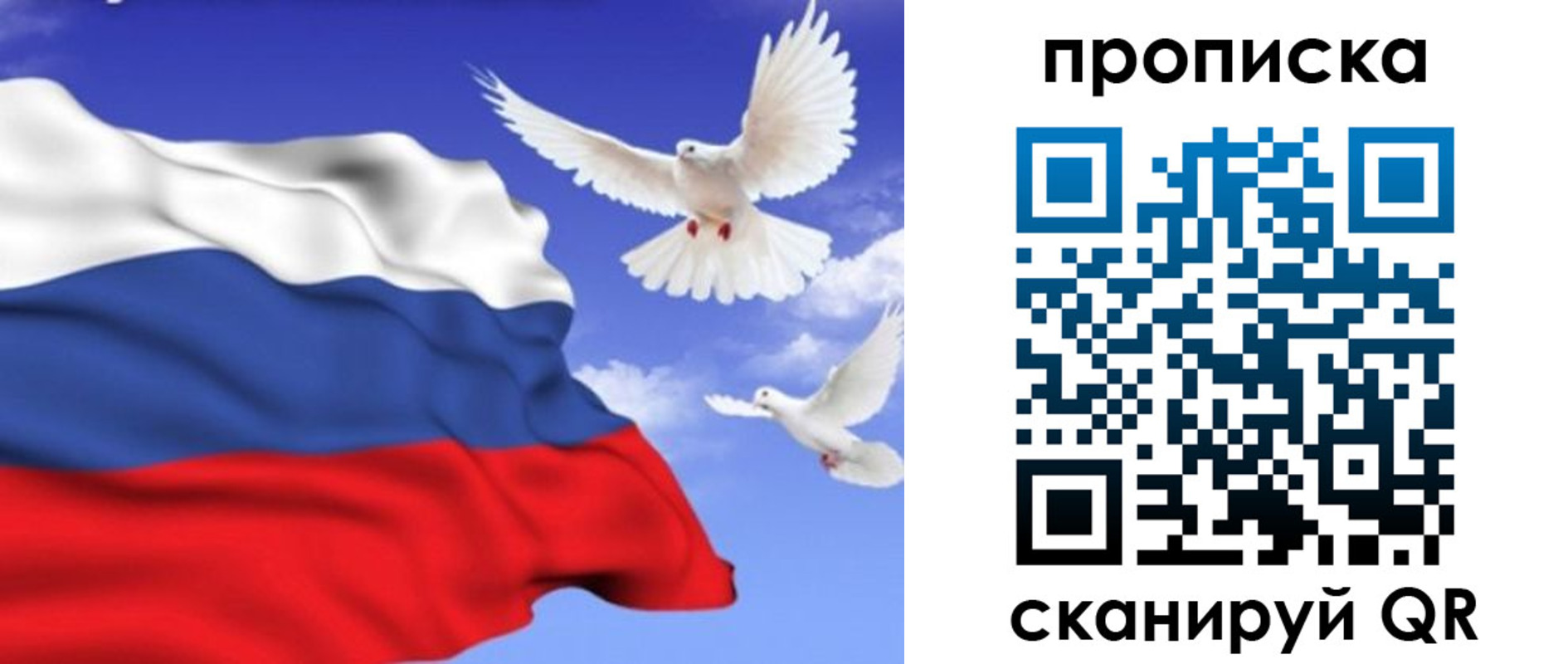 временная регистрация гарантия в Вилючинске